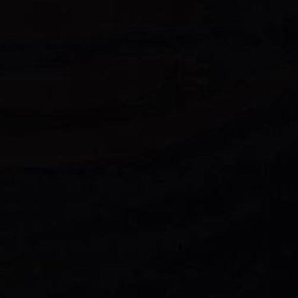 Meet your Posher, Ava - Picture 1 of 1